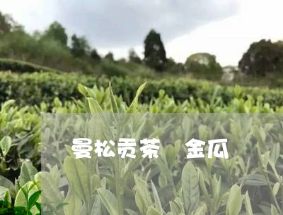 曼松贡茶 金瓜/2023042973268